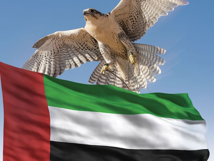 UAE sustainability drive is built on alliances